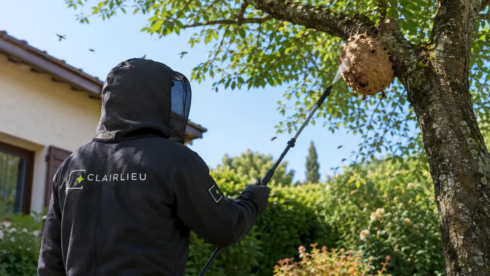 Destruction d'un nid de frelons asiatiques en hauteur