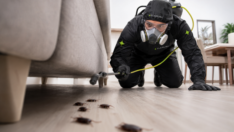 Technicien Clairlieu en combinaison pulvérisant de l'insecticide dans un appartement lors d'une intervention de désinsectisation blattes, on voit des blattes s'enfuir